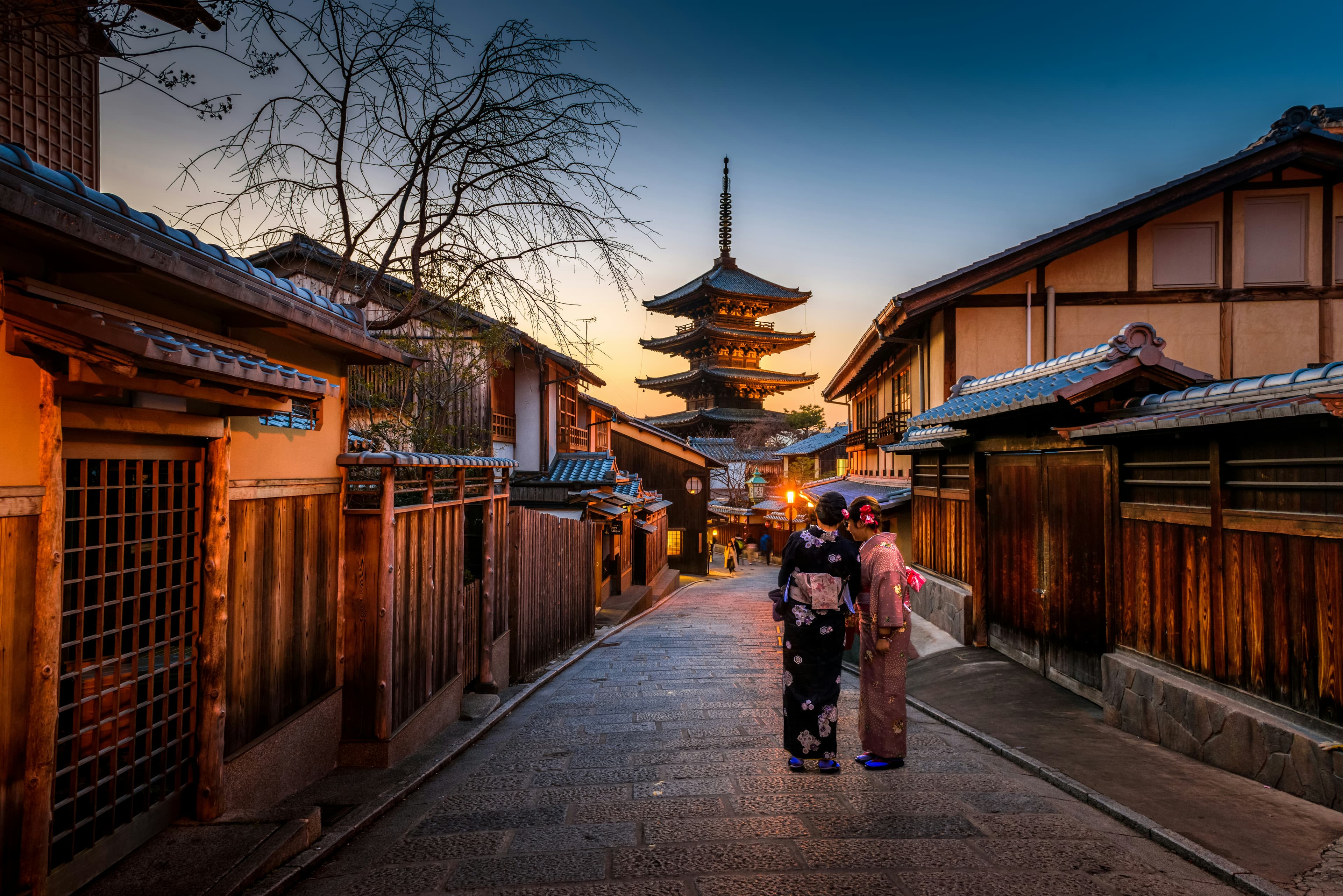 Japan: Cherry Blossom Special